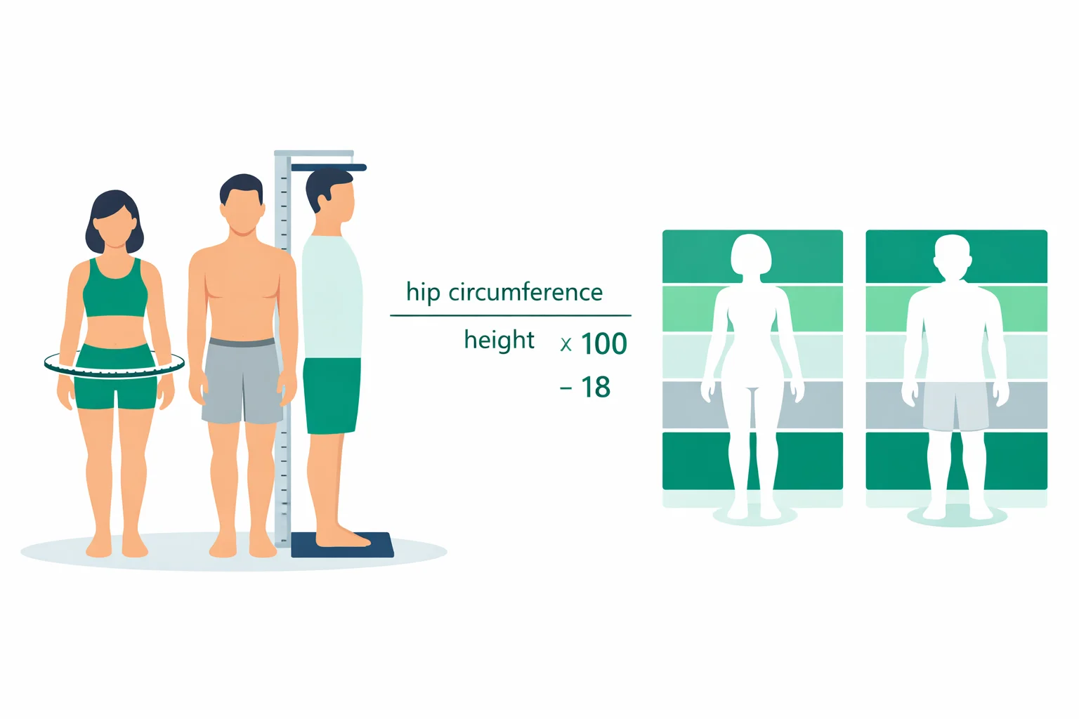 Flat illustration of hip circumference and height measurement beside the BAI body-fat formula and a color-coded body fat percentage chart split by age and sex.