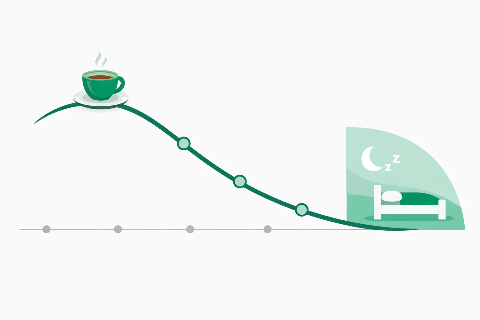 Flat illustration of a caffeine decay curve falling across a 12-hour timeline with half-life markers, a coffee cup at the peak, and a shaded bedtime sleep zone.