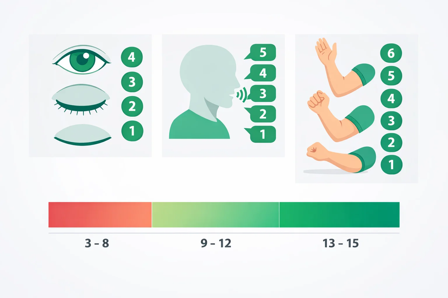 Neurology illustration of the Glasgow Coma Scale scoring eye opening out of 4, verbal response out of 5 and motor response out of 6, over 3 to 15 severity bands