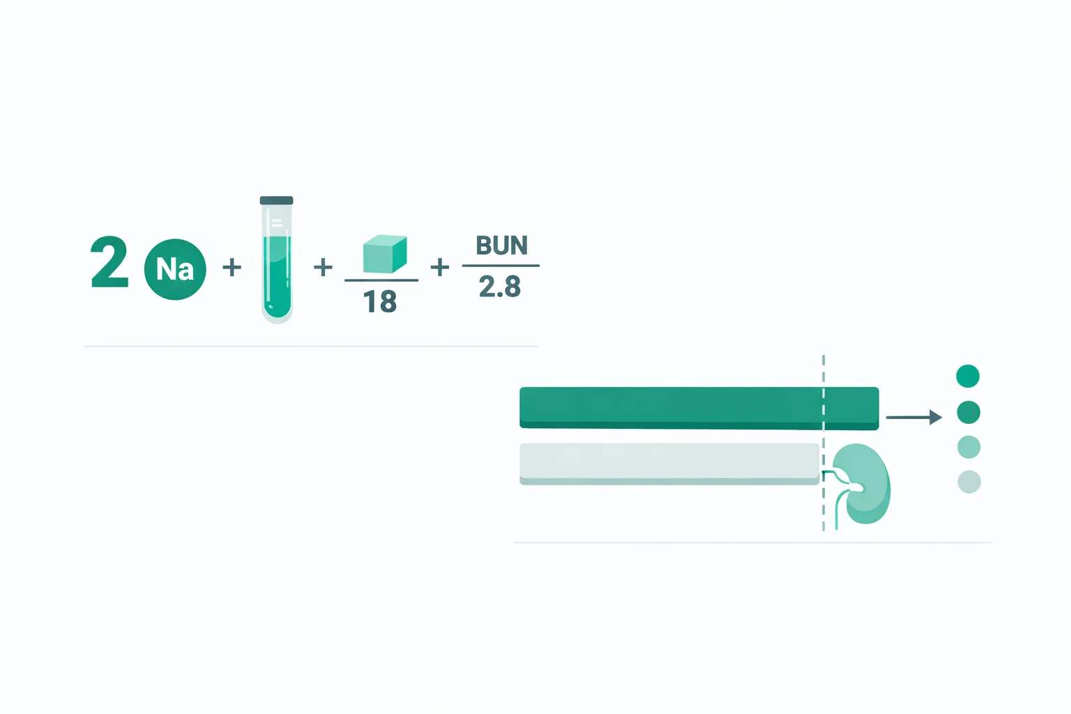 Scientific illustration of the serum osmolality formula 2 Na + glucose/18 + BUN/2.8 with an osmolal gap bar comparing measured versus calculated values
